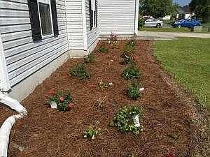 Landscaping Enhancements