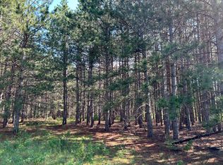 LOT 1 Conifer Ln SW, Pillager, MN 56473