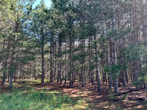 LOT 1 Conifer Ln SW, Pillager, MN 56473