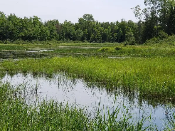 Lot#6 Old County Road, Milo, ME 04463