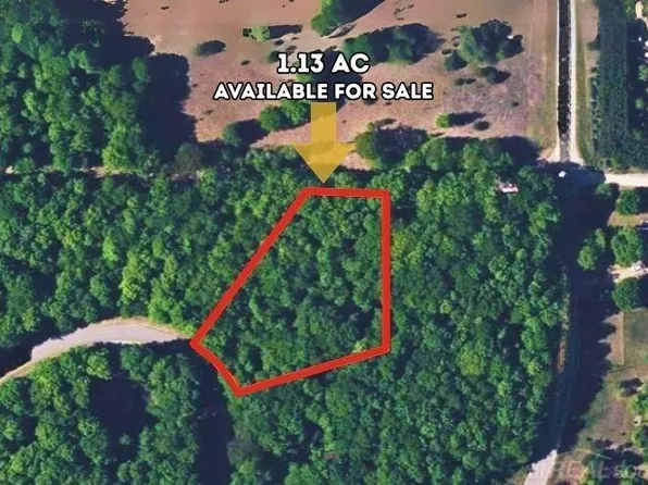 0 Staceywood Cir, Bellaire, MI 49615