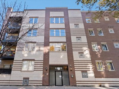 1225 N California Ave APT 4C, Chicago, IL, 60622