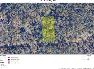 12 Barnaby Blf, Seabrook, SC 29940