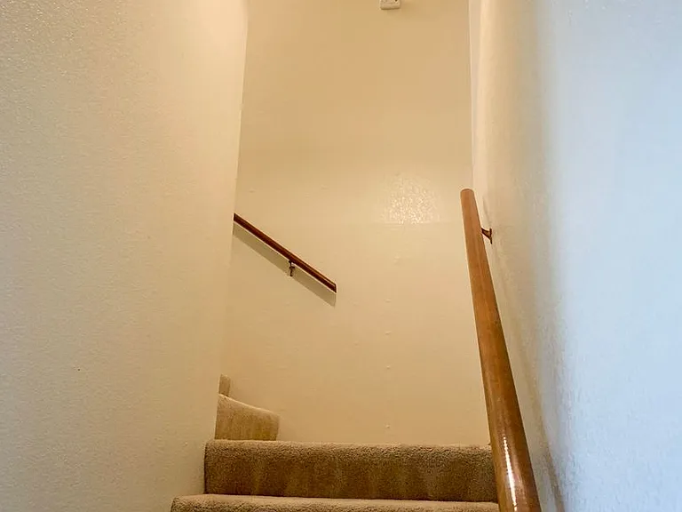 Pear 1041 — Photo 10