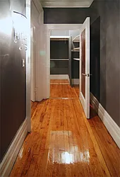 Rented by WAM Partners - William Moses Co.