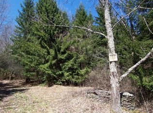 Burroughs Memorial Rd, Roxbury, NY 12474