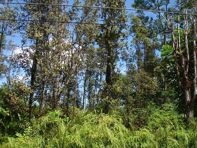 1st image of Ohia Dr Lot 17