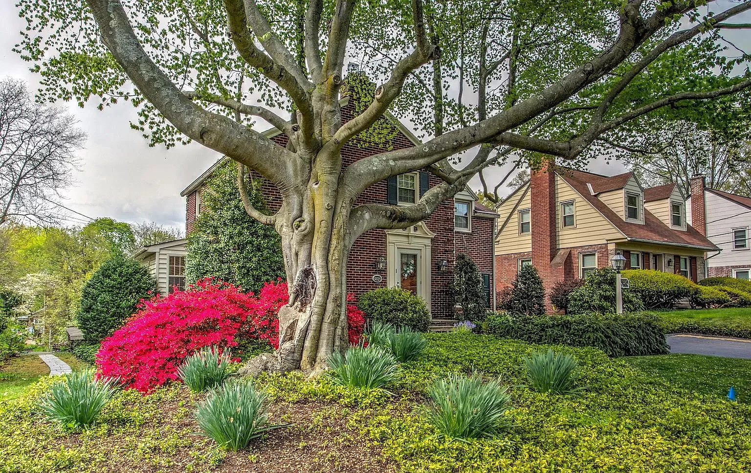 4 bed, 1938 sqft, $3,800 — Photo 2