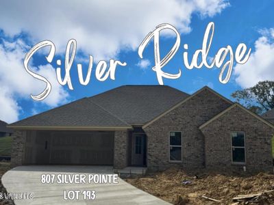 807 Silver Pointe, Pearl, MS, 39208