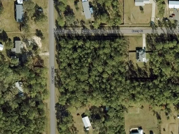 10040 Kirchherr Ave, Hastings, FL 32145