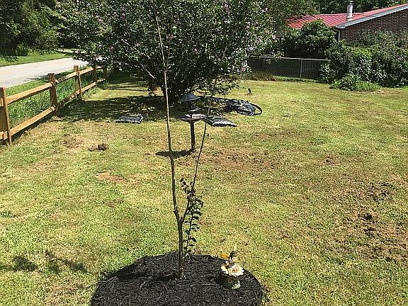 Left to right from driveway 