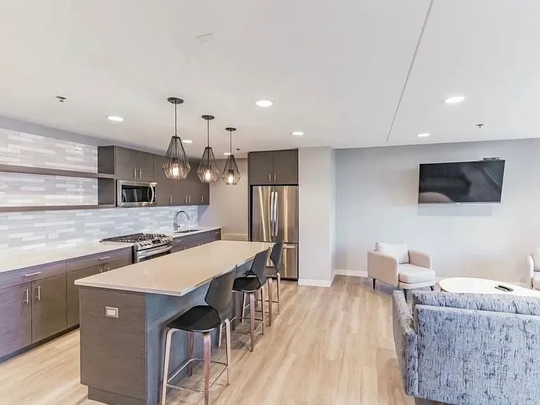 1250 S Michigan Ave #510 — Photo 16