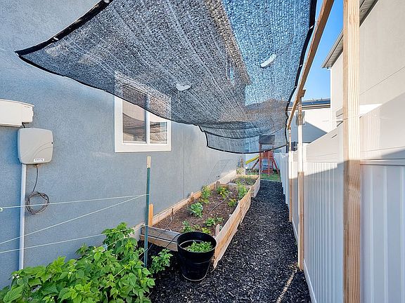 Garden boxes and berry patch