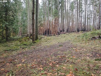 0 S Wyland Rd, Molalla, OR, 97038