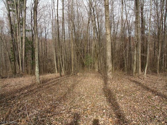 5th image of 5683 Hickory Wood Dr