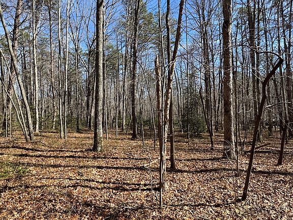 3rd image of 0 Cane Creek Rd #44