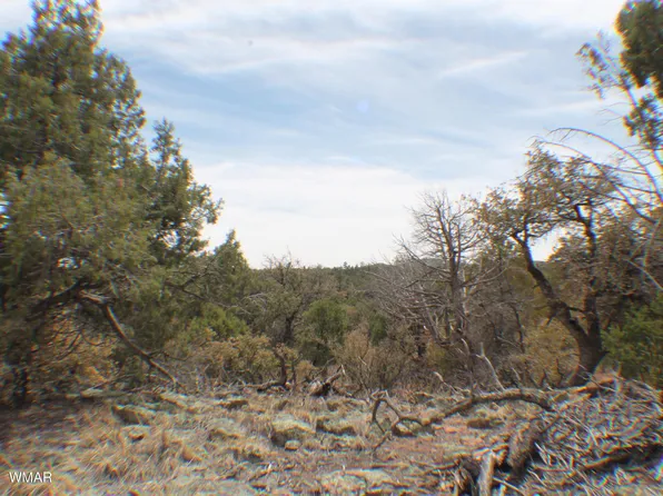 Tbd Timber Ranch Rd, Show Low, AZ 85901