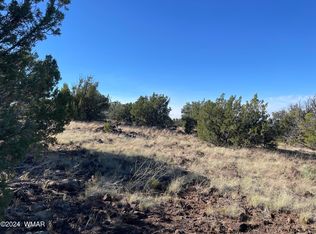 12 County Rd, Concho, AZ 85924