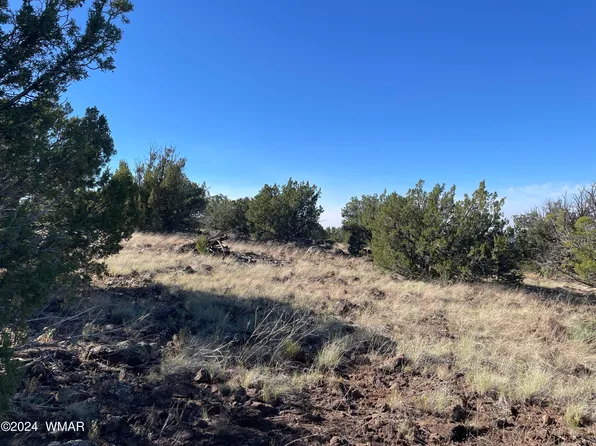 12 County Rd, Concho, AZ 85924