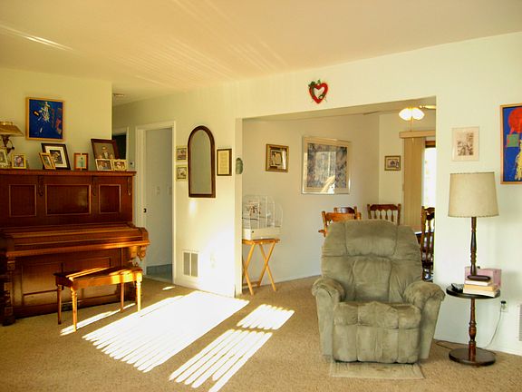 Sun splashed living room