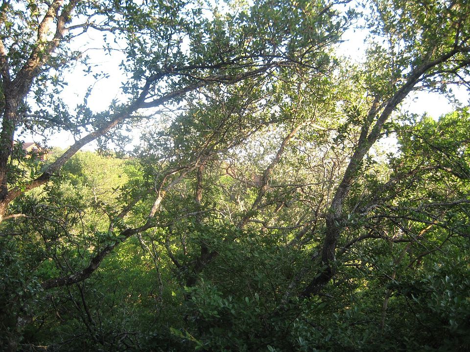 View from balcony