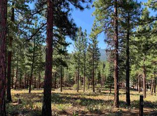 145 S Ridge Rd, Portola, CA 96122