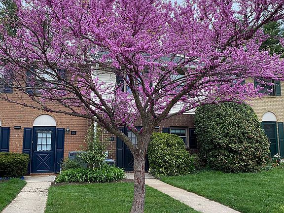 14 Bardeen (Black Shutters) Spring