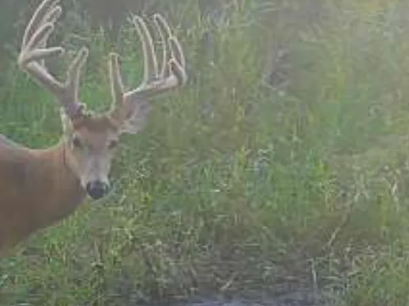 County Highway 73, Deer Creek, MN 56527