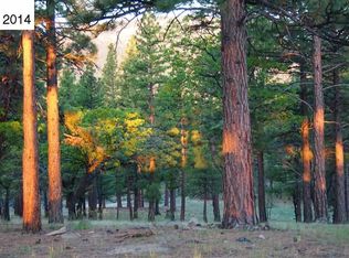 461796 Silent Oak Dr, Susanville, CA 96130