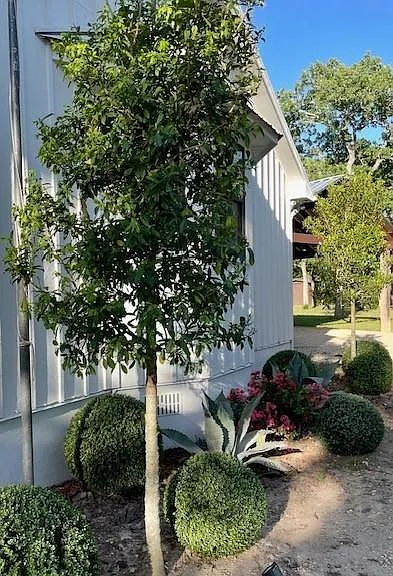 6811 Mockingbird Rd — Photo 18