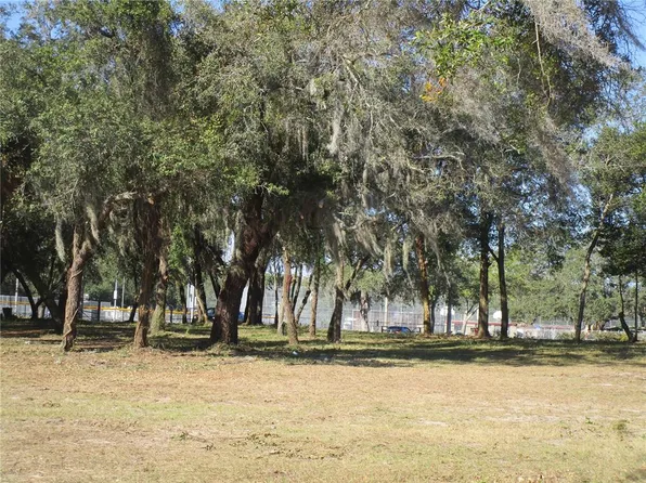 6718 N Rome Ave, Tampa, FL 33604