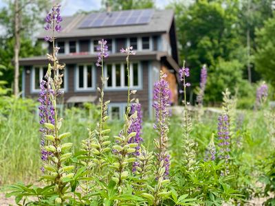 615 Forest Hills Road, Franconia, NH, 03580
