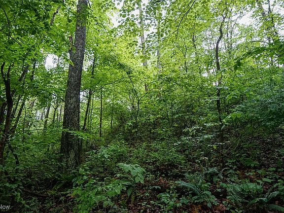 4th image of Township Road 460