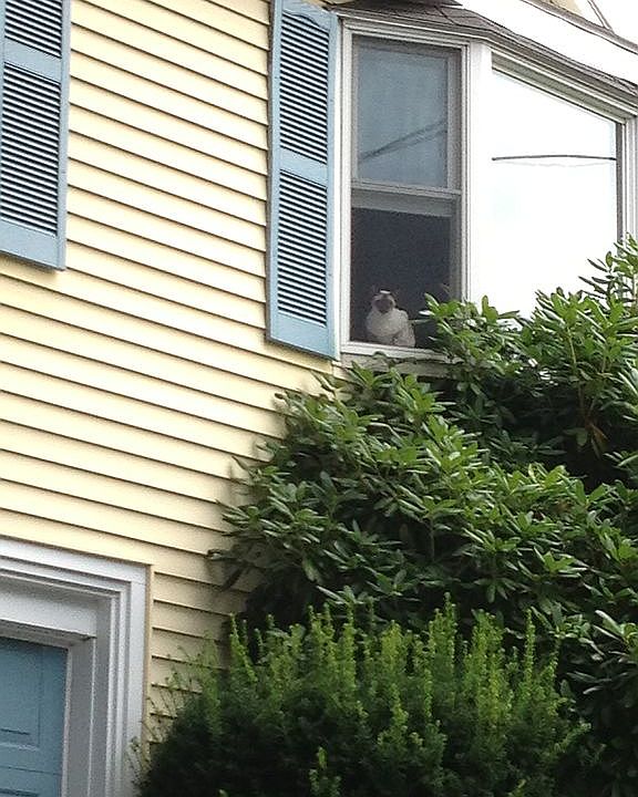 Garage under living room