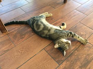 7486 Pacific Ave, Lemon Grove, CA 91945