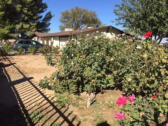 Front Yard Rose Garden