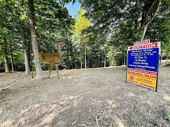2nd image of 0 Sanders Ridge Rd