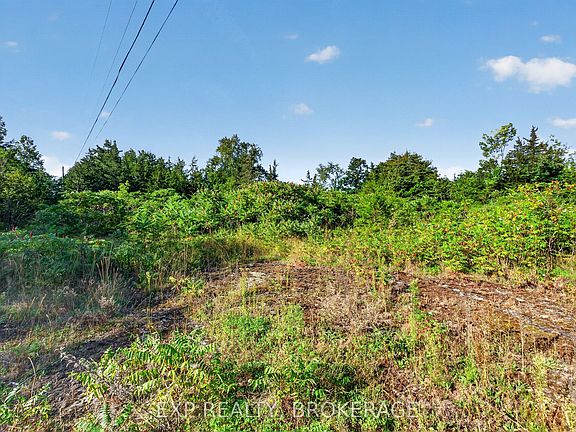 4th image of Opinicon Rd Lot 23