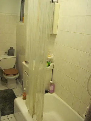 Rented by J Misrahi Realty Corp | media 34