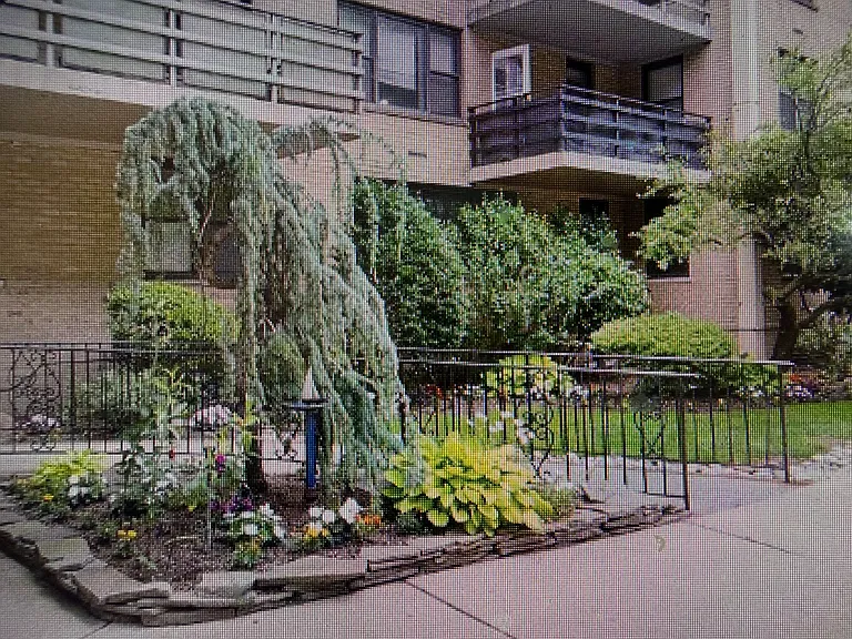 201 Saint Pauls Ave #5G — Photo 12