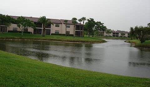 Gorgeous Florida Lake View