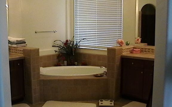 Master Jacuzzi Tub