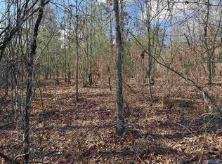 4 & 5 Estes Rd, Piedmont, AL 36272