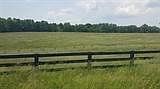 1st image of 1533 Highway 1023 Lot B