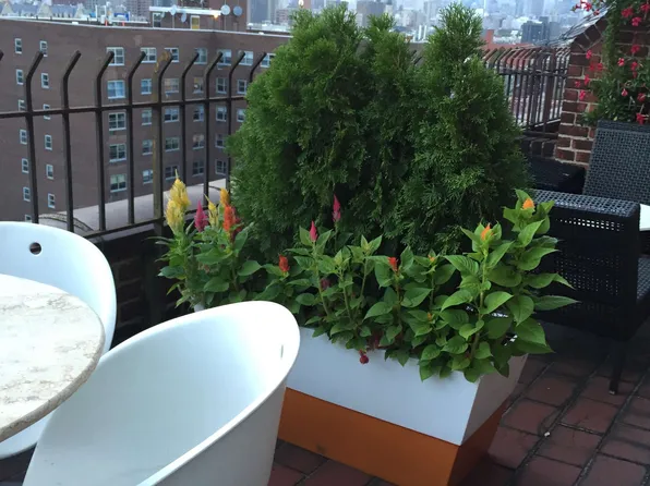 500 Grand Street image 1 of 7