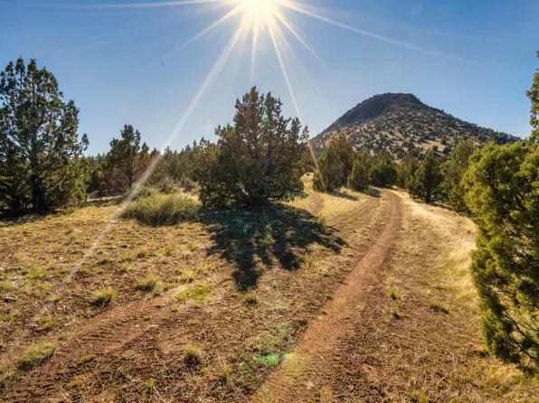 1755 Lost Coyote Ln, Mitchell, OR 97750