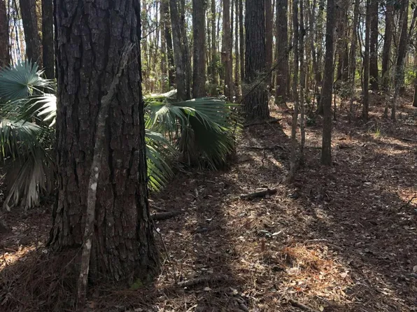 0 Timber Landing Rd, Brunswick, GA 31523