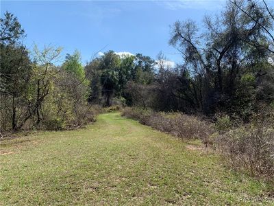 1220 N Paul Dr, Inverness, FL, 34453