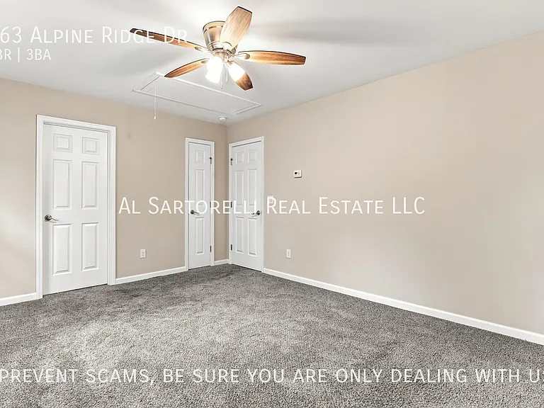 163 Alpine Ridge Dr — Photo 20