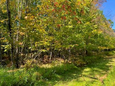 Maple Ave, Goodman, WI, 54125